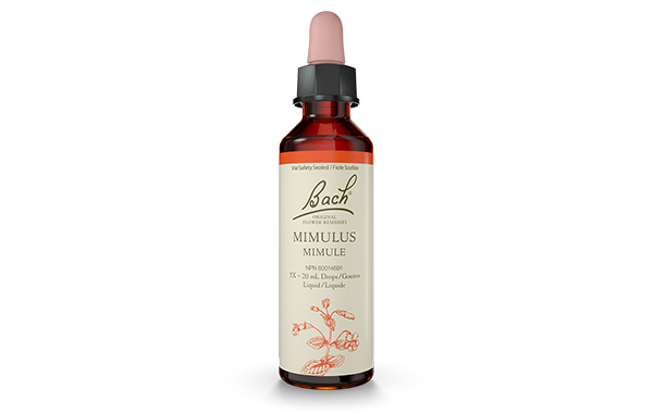 Bach - Mimulus